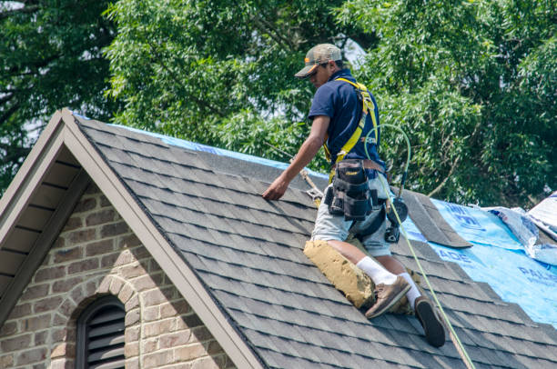 Best Roof Maintenance Services  in Silver Summit, UT